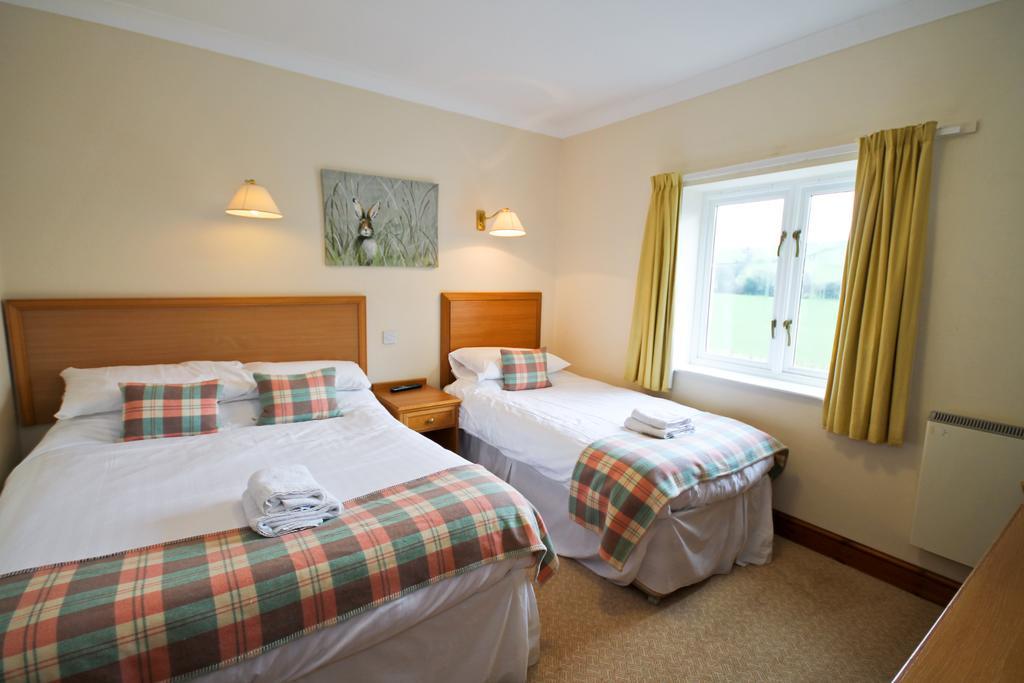 Llety Ceiro Guesthouse Aberystwyth Exteriér fotografie