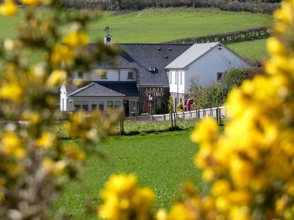 Llety Ceiro Guesthouse Aberystwyth Exteriér fotografie